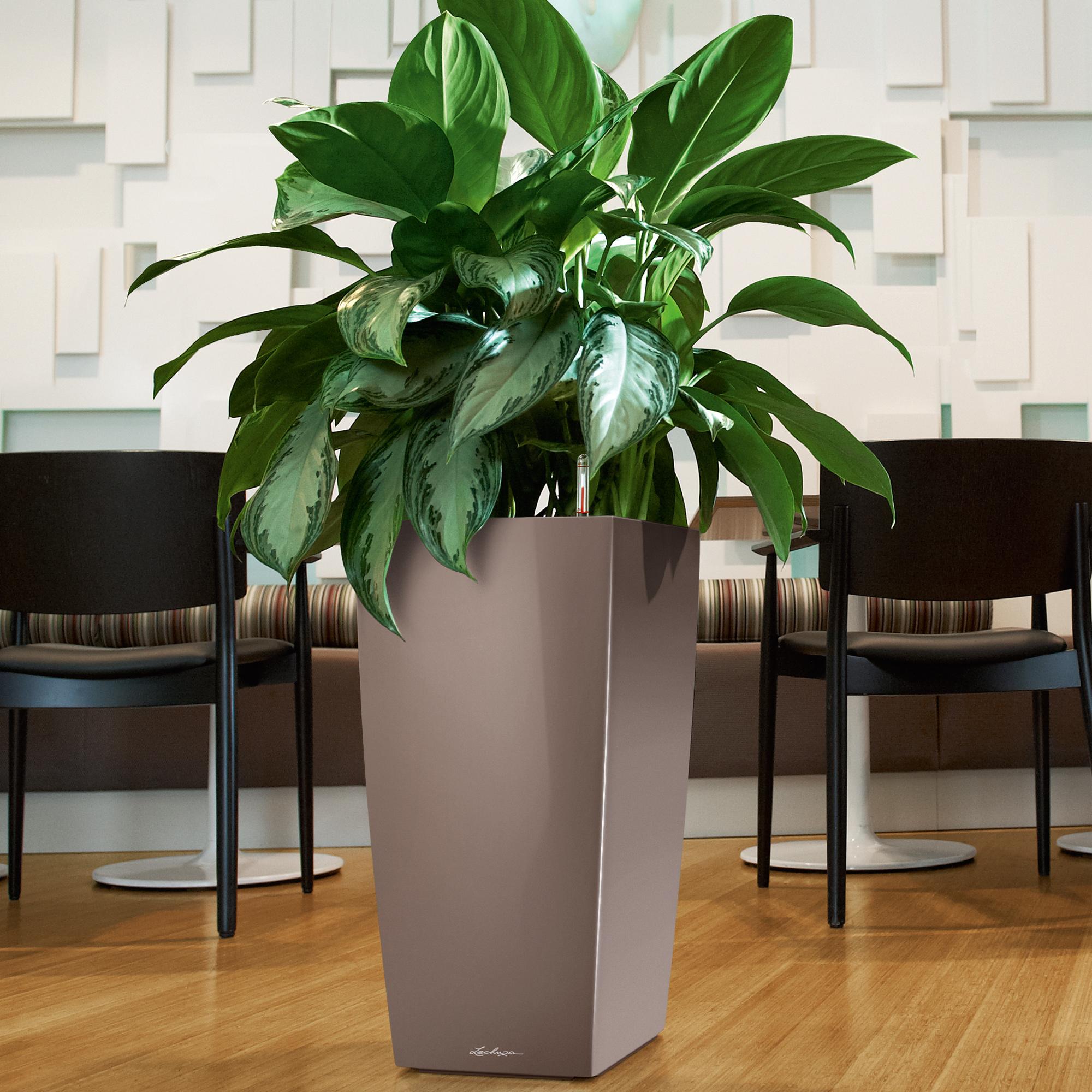 le_cubico40_product_addi_04